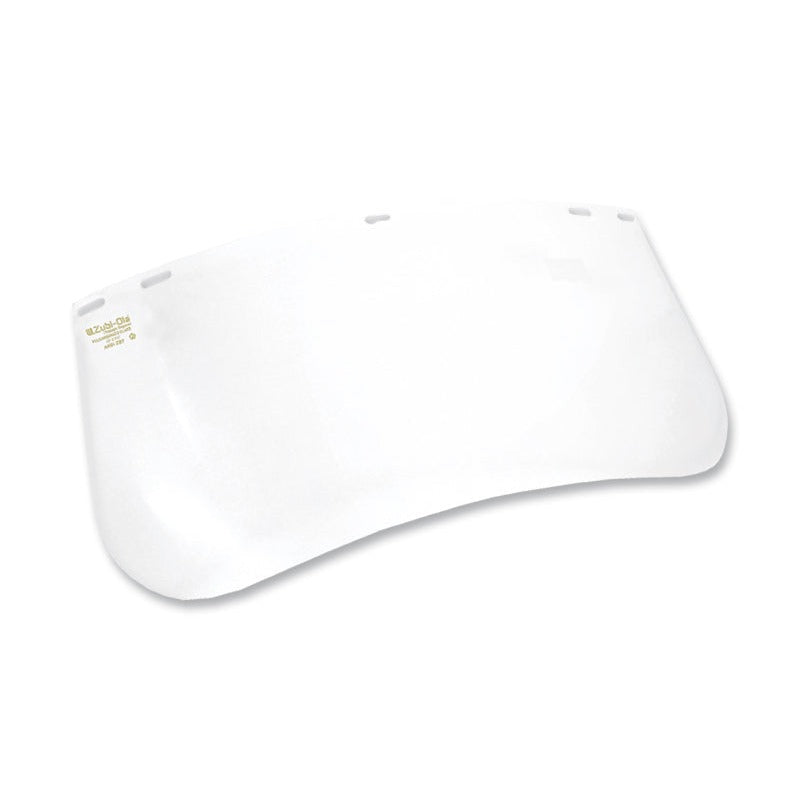 Visor de Repuesto para Careta con Banda Ajustable y Visor Claro Ref. 11887801